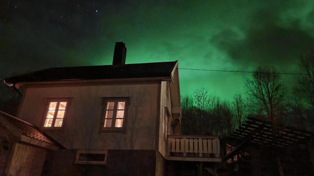 Cabin Magic On Senja, Atmosphere Like A Fairytale Botnhamn Exterior photo