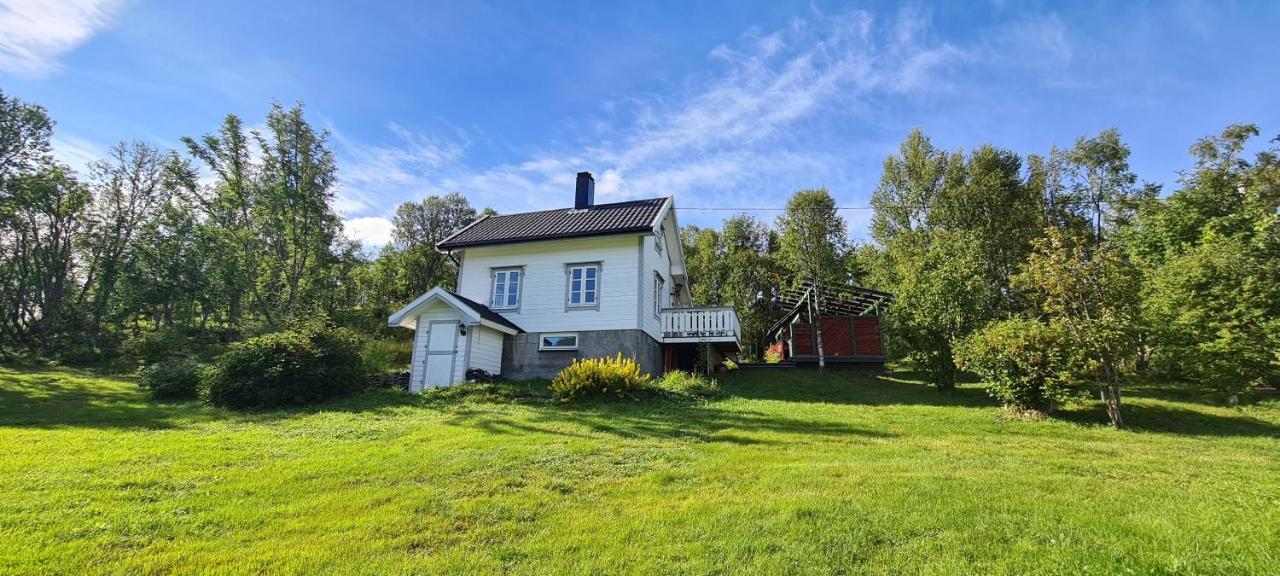 Cabin Magic On Senja, Atmosphere Like A Fairytale Botnhamn Exterior photo