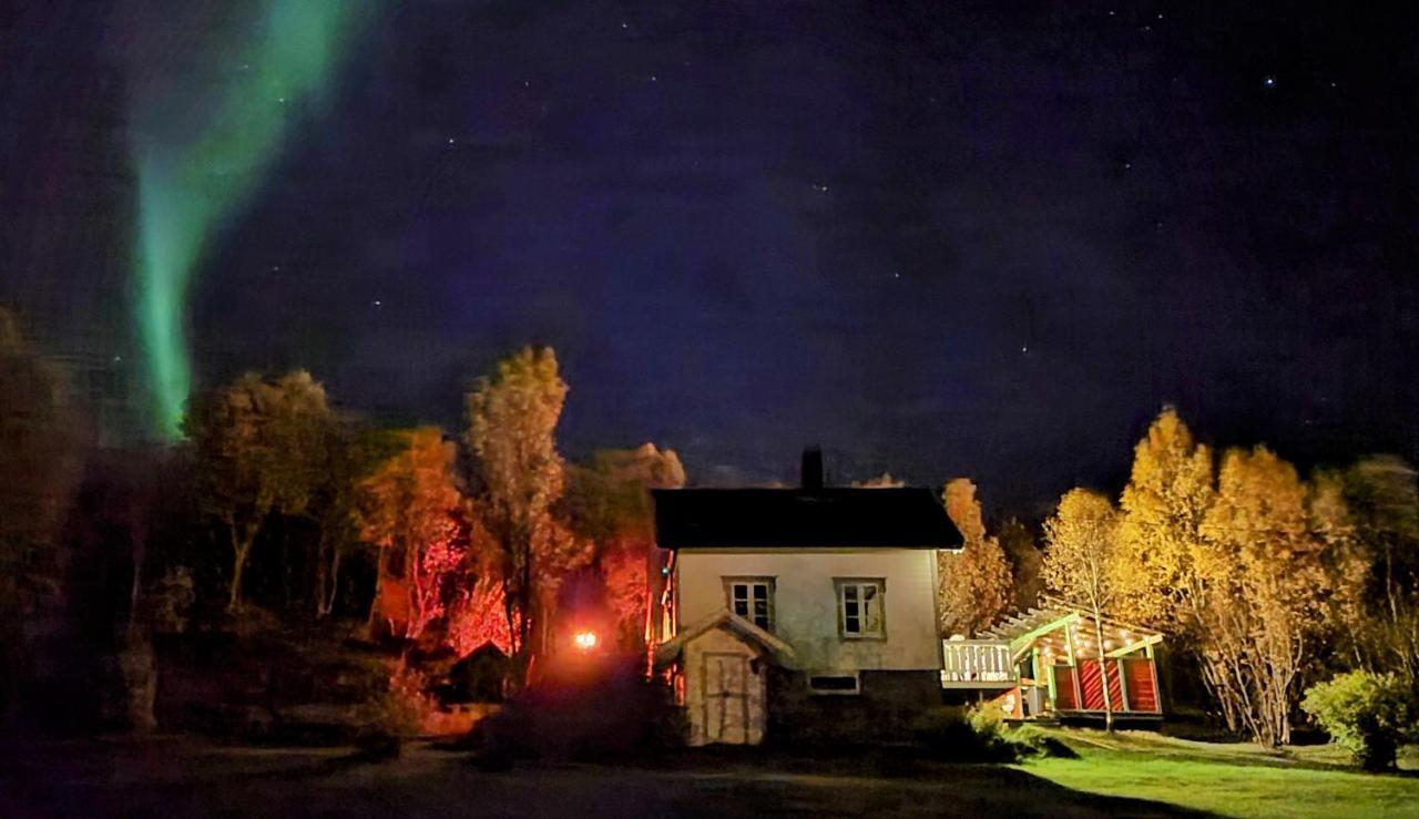 Cabin Magic On Senja, Atmosphere Like A Fairytale Botnhamn Exterior photo