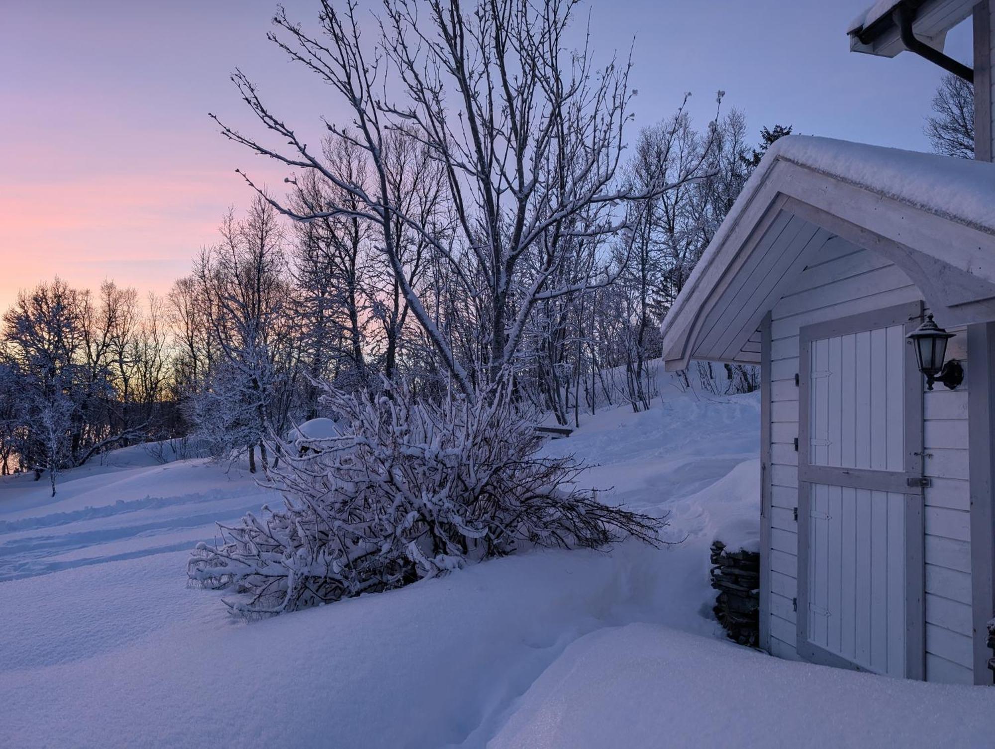 Cabin Magic On Senja, Atmosphere Like A Fairytale Botnhamn Exterior photo